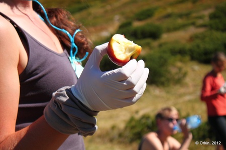 Прибирання озера Несамовитого