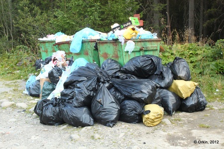 Прибирання озера Несамовитого